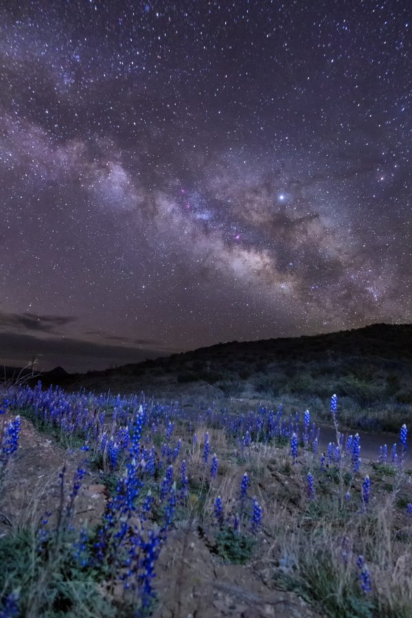 Night Astrophotography Workshop with Jason Weingart